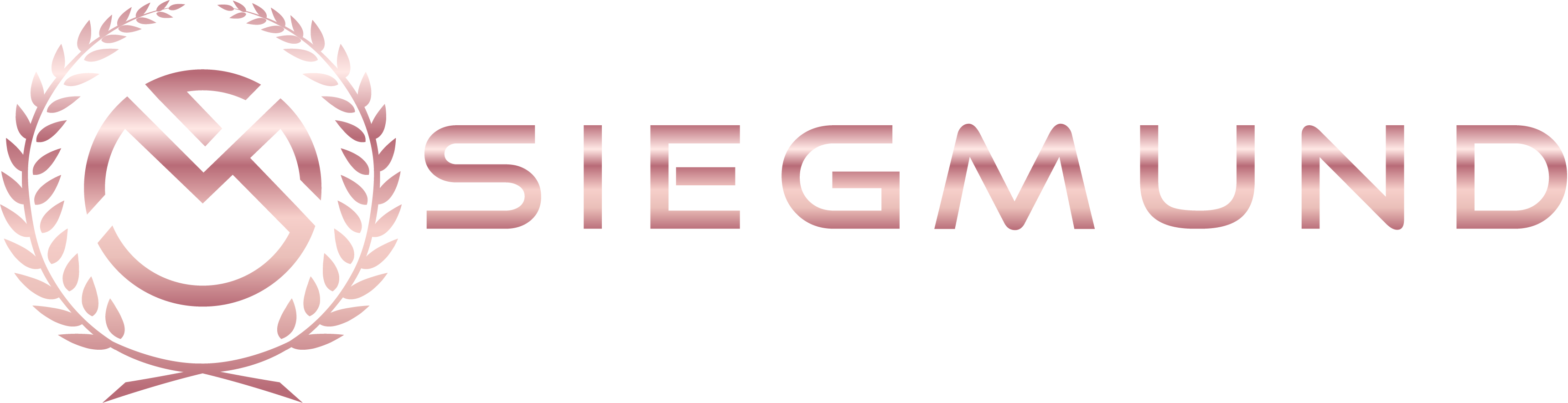Siegmund Marketing Logo